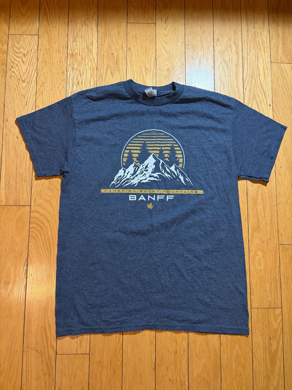 Gildan Navy Blue Banff Mountain Graphic Tee